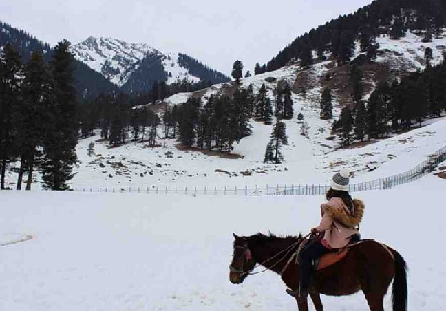 Kashmir Group Tour